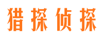 湛河侦探公司